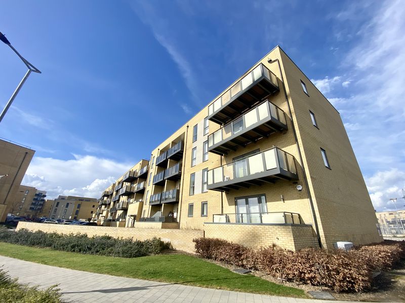 Main Image